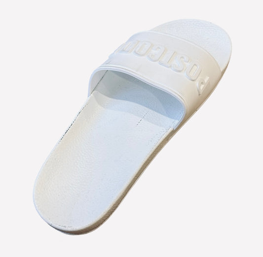 WHITE ON WHITE SLIDES